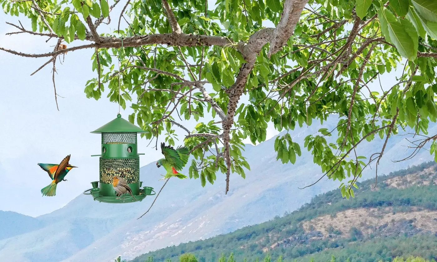 iMounTEK Hanging Wild Bird Feeders - Squirrel-Proof & 3-Tier Options