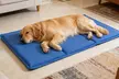 iMounTEK Pressure-Activated Self-Cooling Gel Mat for Dogs - Second Medium