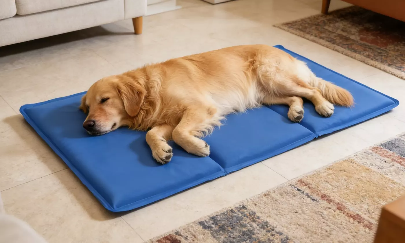 iMounTEK Pressure-Activated Self-Cooling Gel Mat for Dogs
