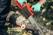 iMounTEK 12" & 16" Cordless Chainsaws with Batteries & Chain Sharpening Kit - Second Medium