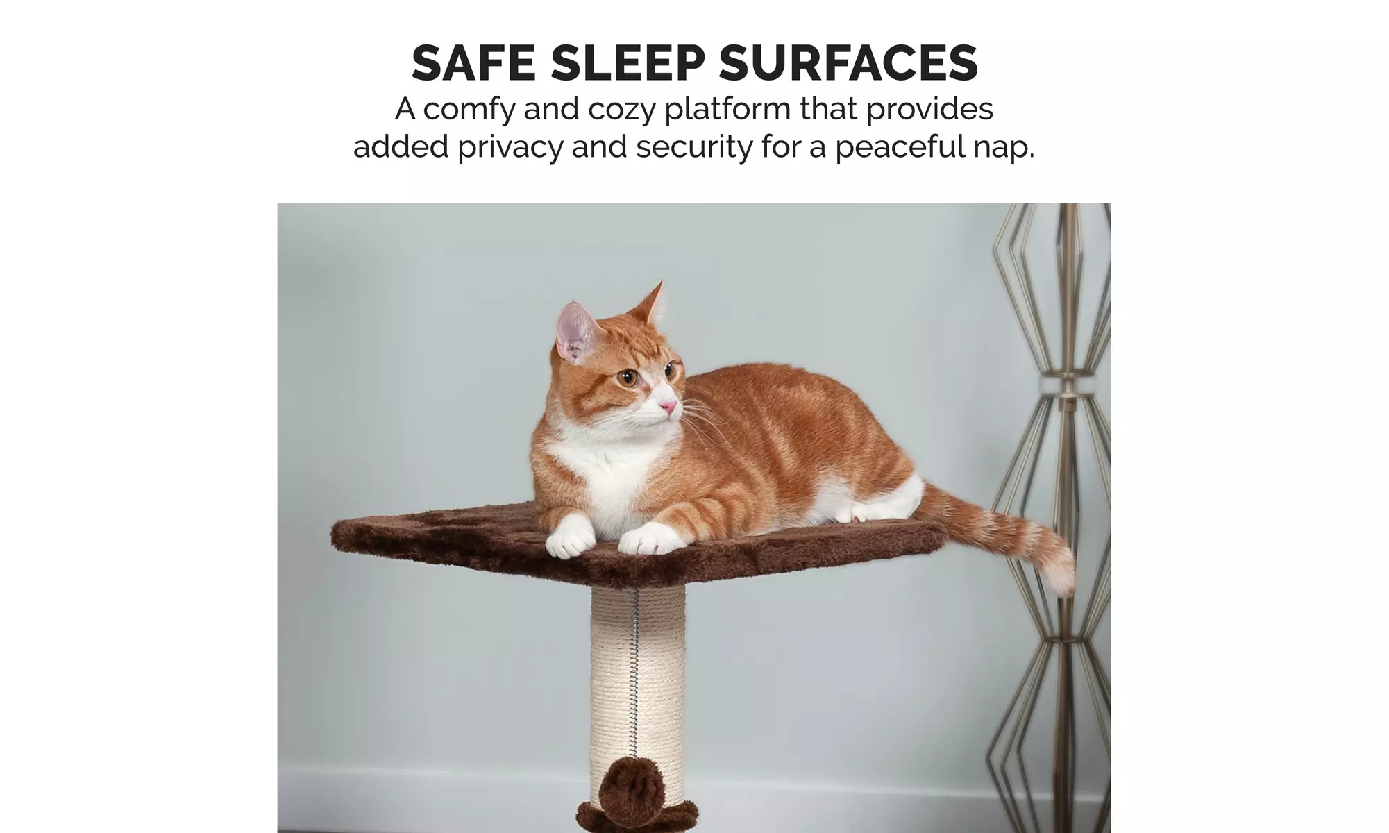 Tiger Tough Scratching Post with Cat-IQ Busy Box