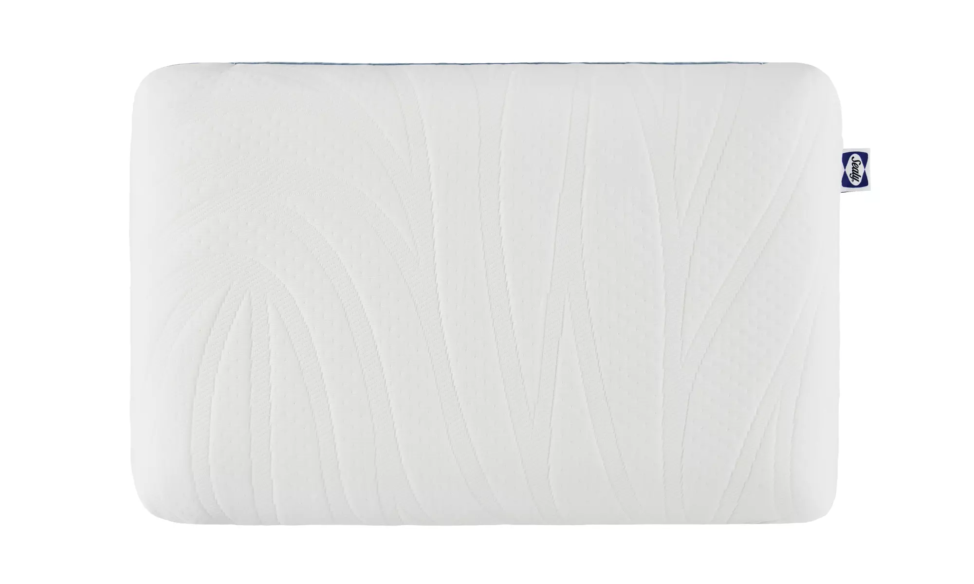 Sealy Dreamlife Memory & Shredded Foam Pillows (Single/Dual)