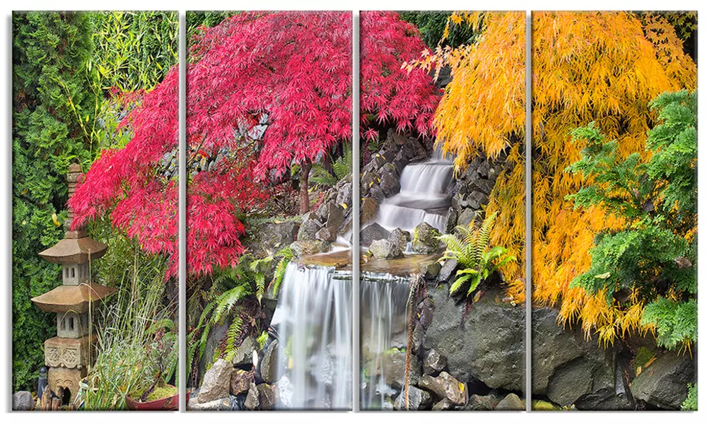 Japanese Maple Trees - Floral Photography Canvas Print - Primary Image
