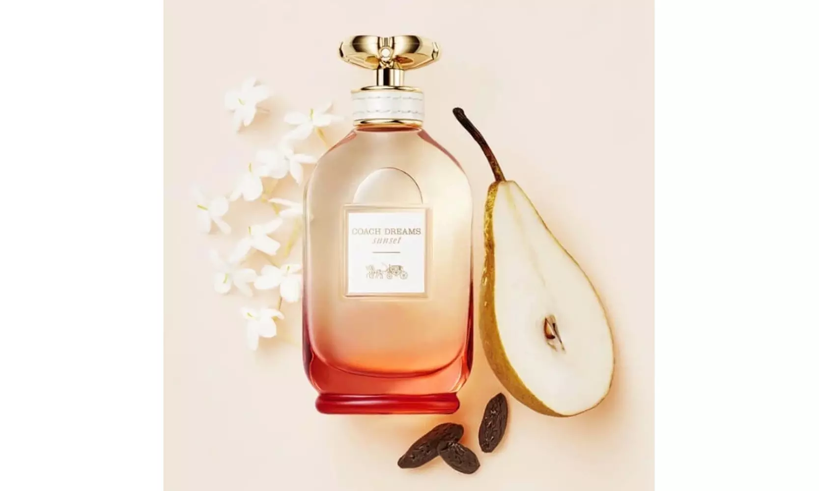 Coach Dreams Sunset Eau de Parfum for Women 3 Fl. Oz.