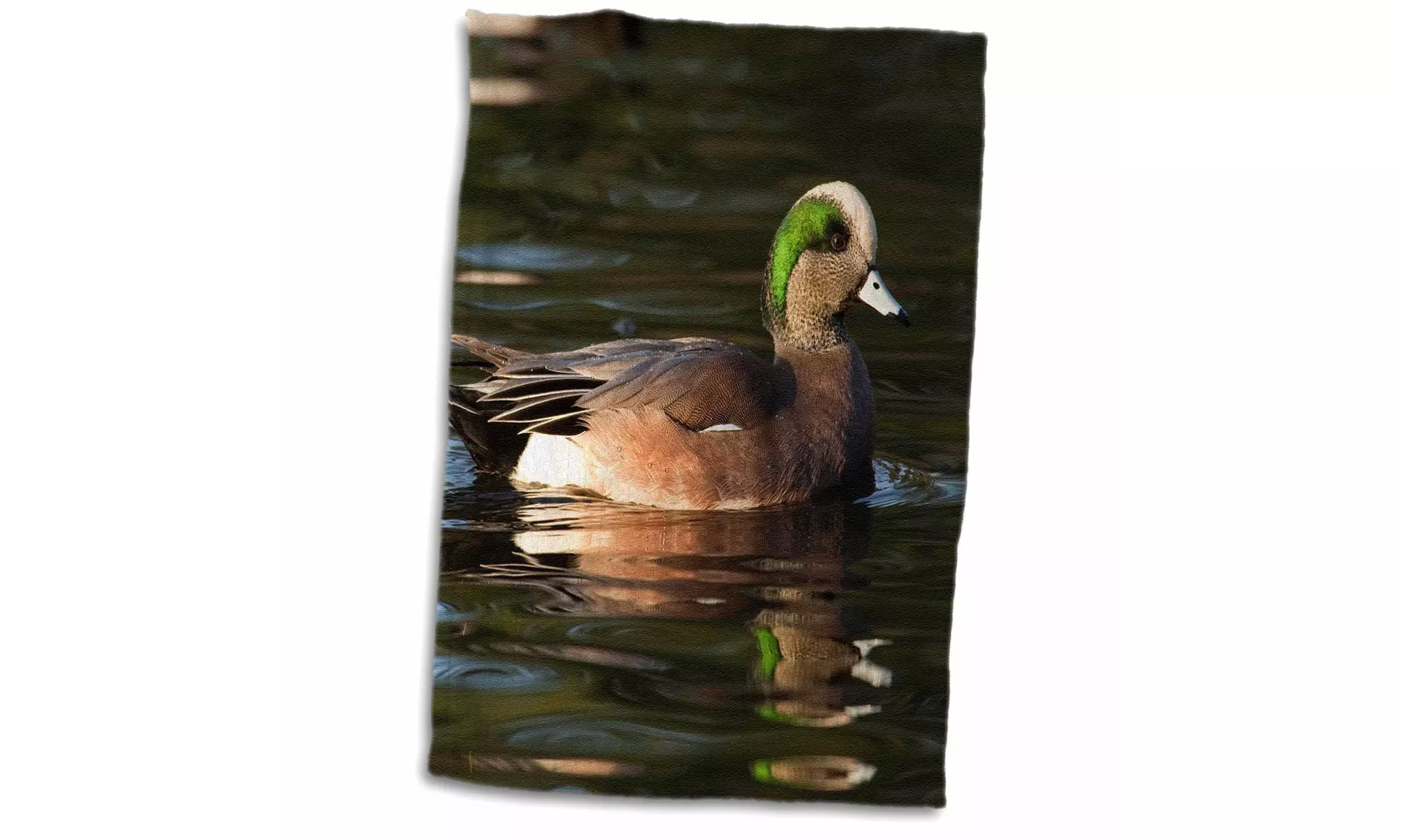  Towel - American Wigeon drake duck - NA02 RBR0041 - Rick A. Brown - 15 by 22-i - Primary Image