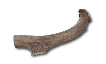 Premium Large Whitetail Deer Antler All Natural Dog Chews - Single Antler