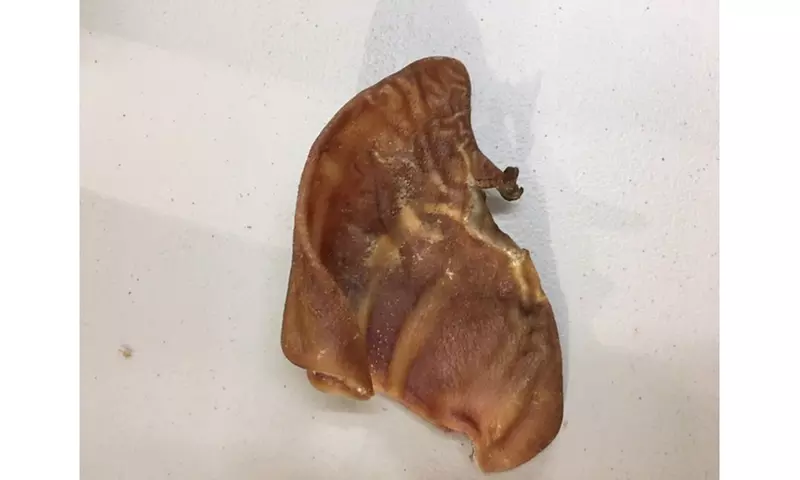 Chef Toby 24 Pack Brazilian Pig Ears - Primary Image