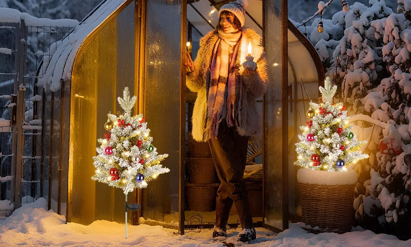 Christmas LED Lights - Snowman Family & Reindeer Family Holiday Decorations