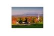 Michael Blanchette Photography 'Rural Attraction' Canvas Art - Second Medium