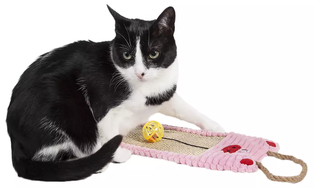 Pet Life Sisal And Jute Hanging Carpet Kitty Cat Scratcher Lounge With Toy - Primary Image