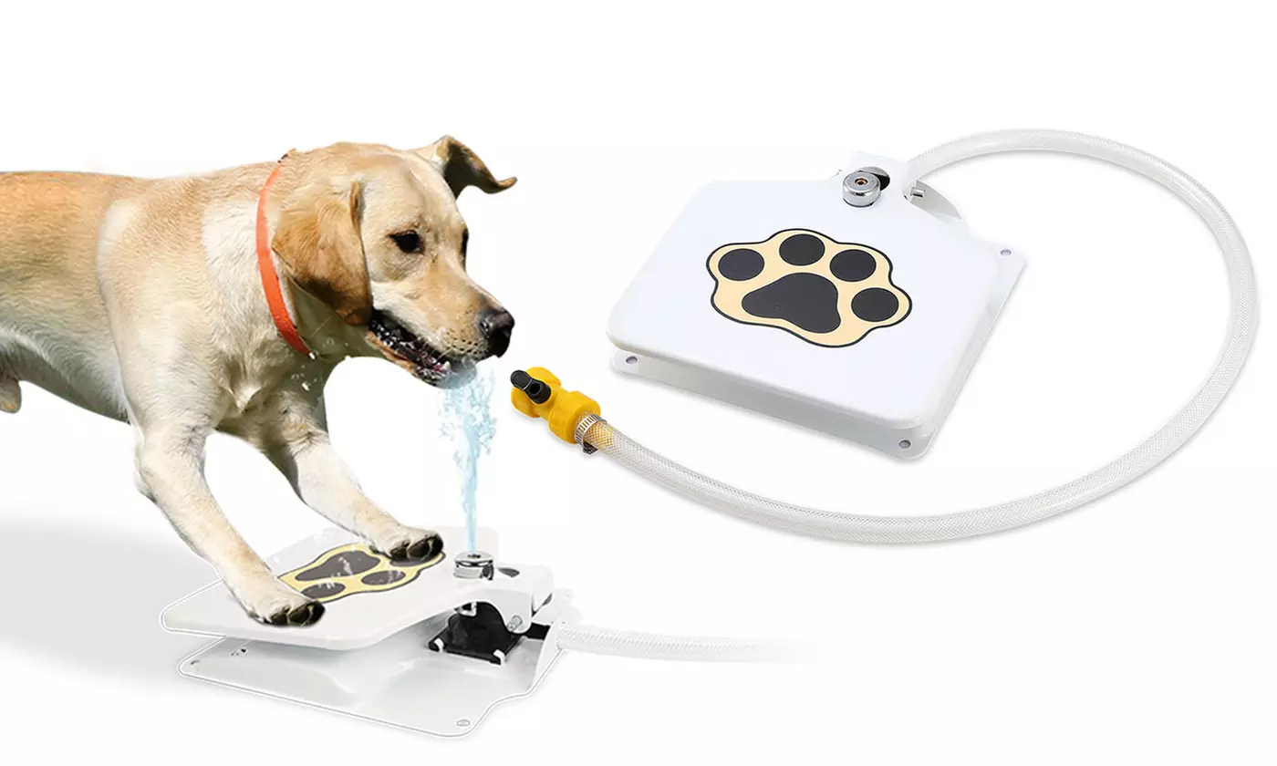 iMounTEK Outdoor Step-On Dog Water Fountain Pet Water Dispenser