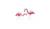 Allied Precision Lawn & Garden G-2 2 Count Pink Flamingos