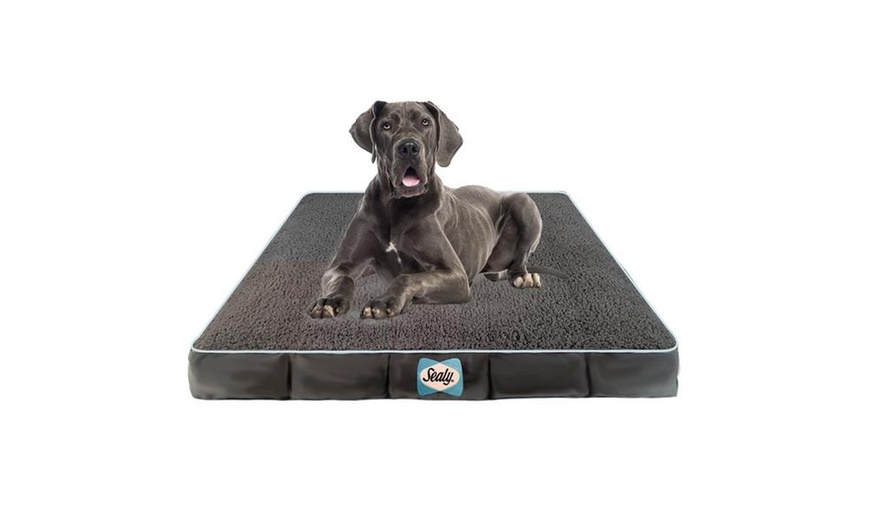 Up To 50% Off on Orthopedic Dog Bed | Groupon Goods