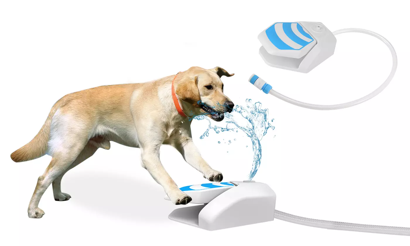 iMounTEK Pet Dog Step-On Activated Water Fountain Dog Drinking Water Dispenser - Primary Image