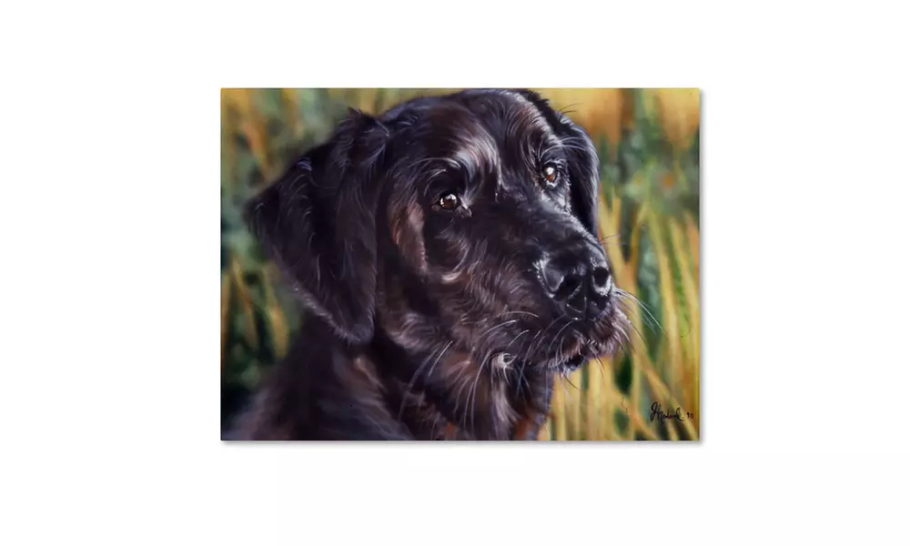Jenny Newland 'Forever Faithful' Canvas Art - Second Medium