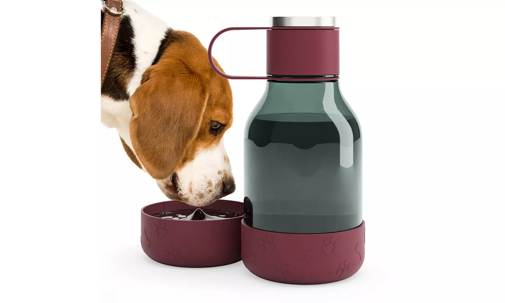 Asobu Tritan Water Bottle with Dog Bowl Attached- 50 Ounces