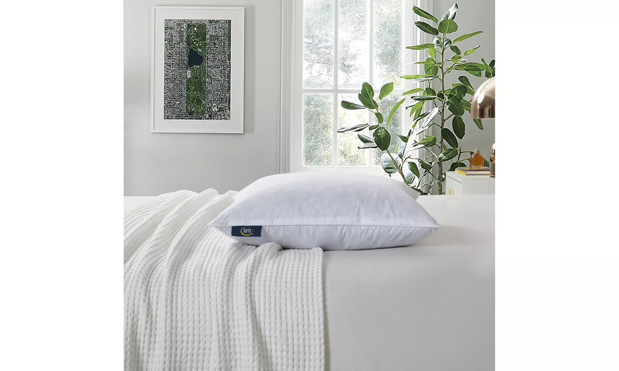 Serta Feather Decorative Square Pillows, 2-Pack