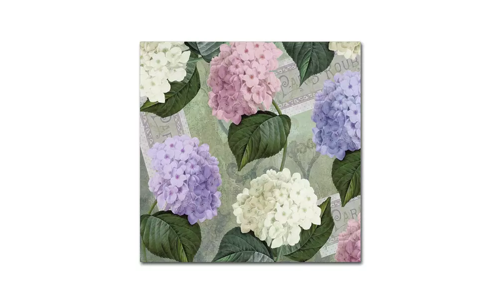Color Bakery 'Hortensia Soft Green' Canvas Art - Second Medium