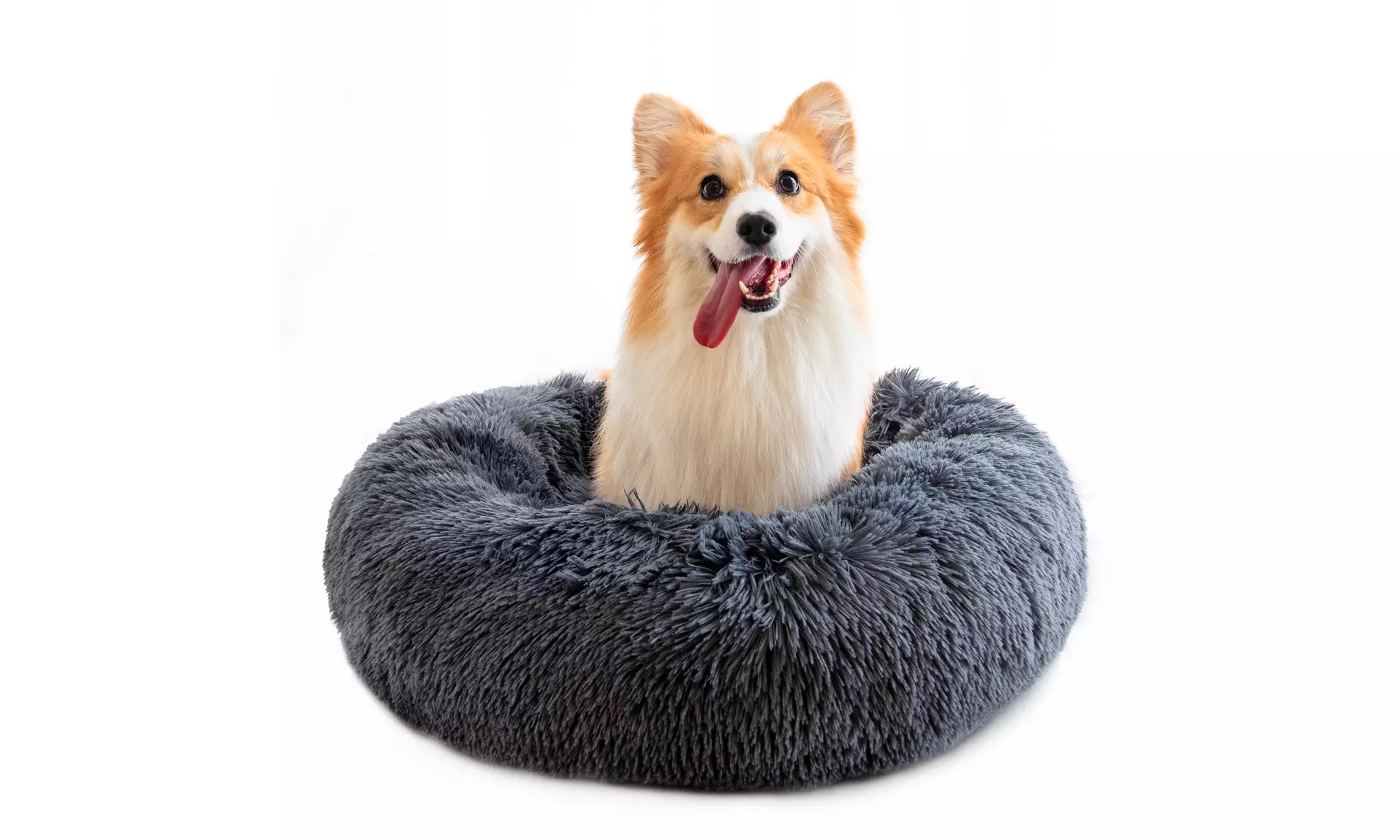 Calming Fluffy Dog Bed for Groupon Goods