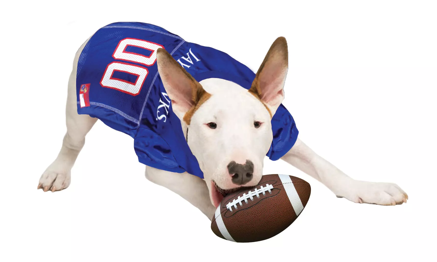 NCAA Football Jerseys K-OH - Primary Image