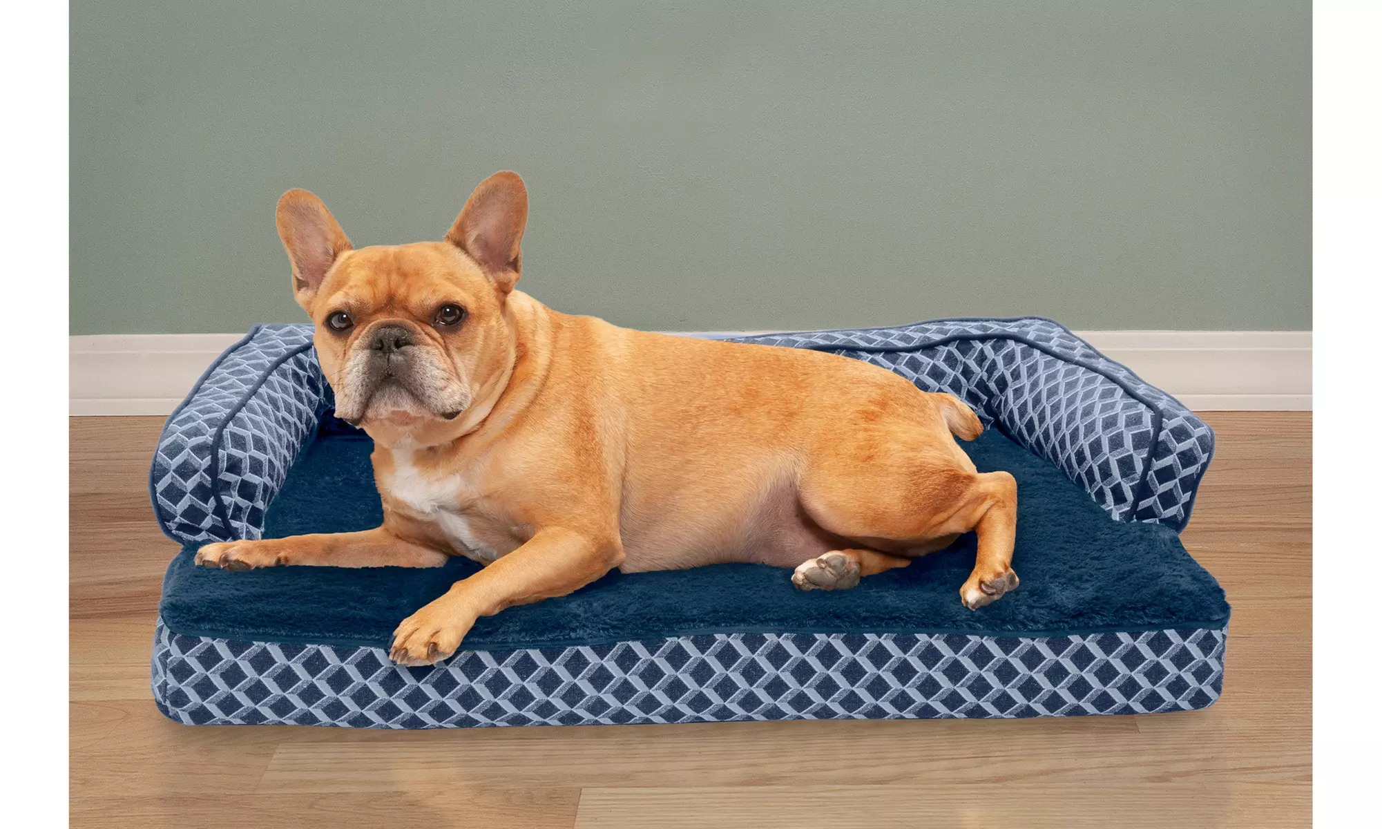 Furhaven Comfy Couch Pet Sofa Memory Foam Cooling Gel Dog Bed - Primary Image