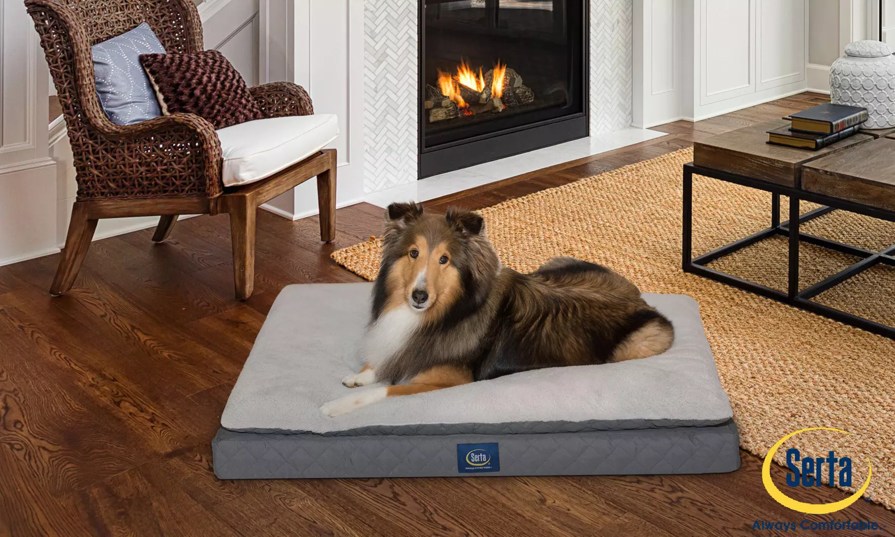 Serta Ortho Mattress Top Pet Bed - Second Medium