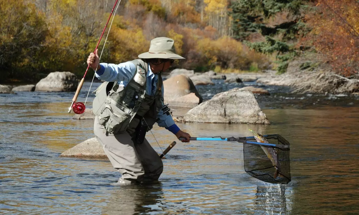 LakeForest Collapsible Aluminum Fishing Net Durable & Portable for Anglers