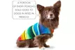 Handmade Dog Poncho from Mexican Serape Blanket - Second Medium