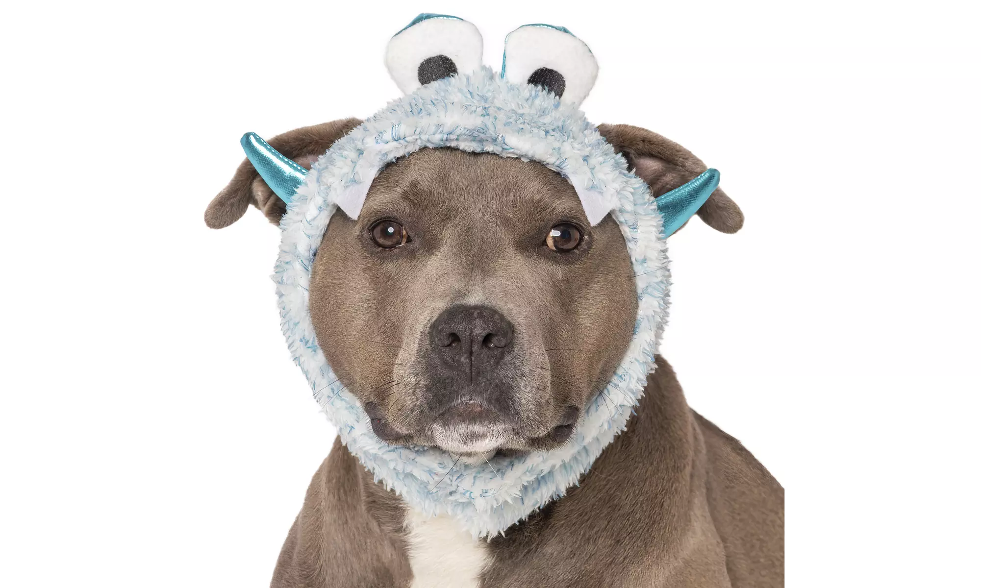 FurHaven Halloween Costume Flex-Fit Pet Costume Hat (Bat, Monster, Polar Bear)