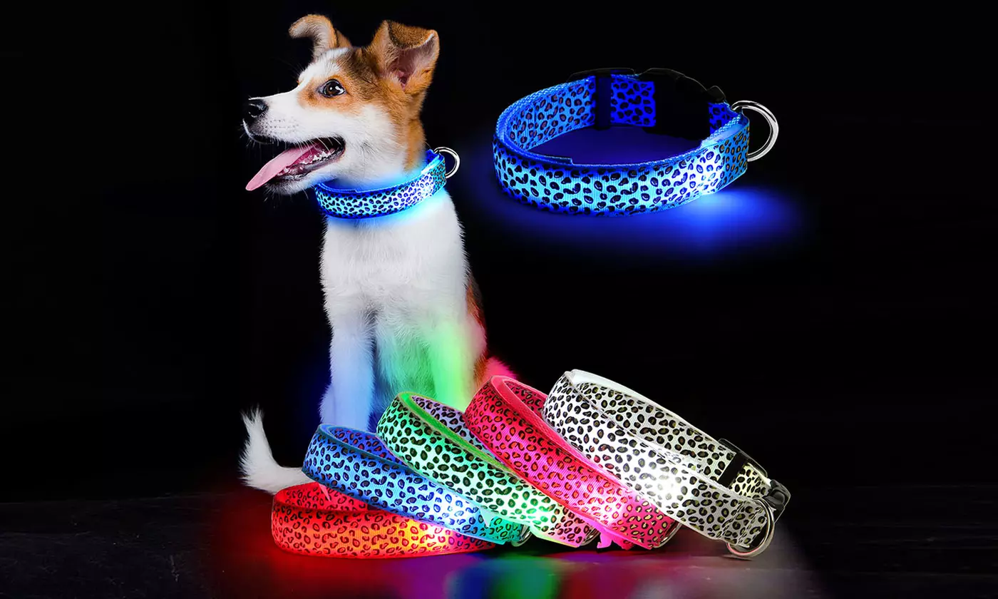 Light Up LED Dog Collar Adjustable USB Rechargeable Pet Safety S/M/L/XL - Primary Image