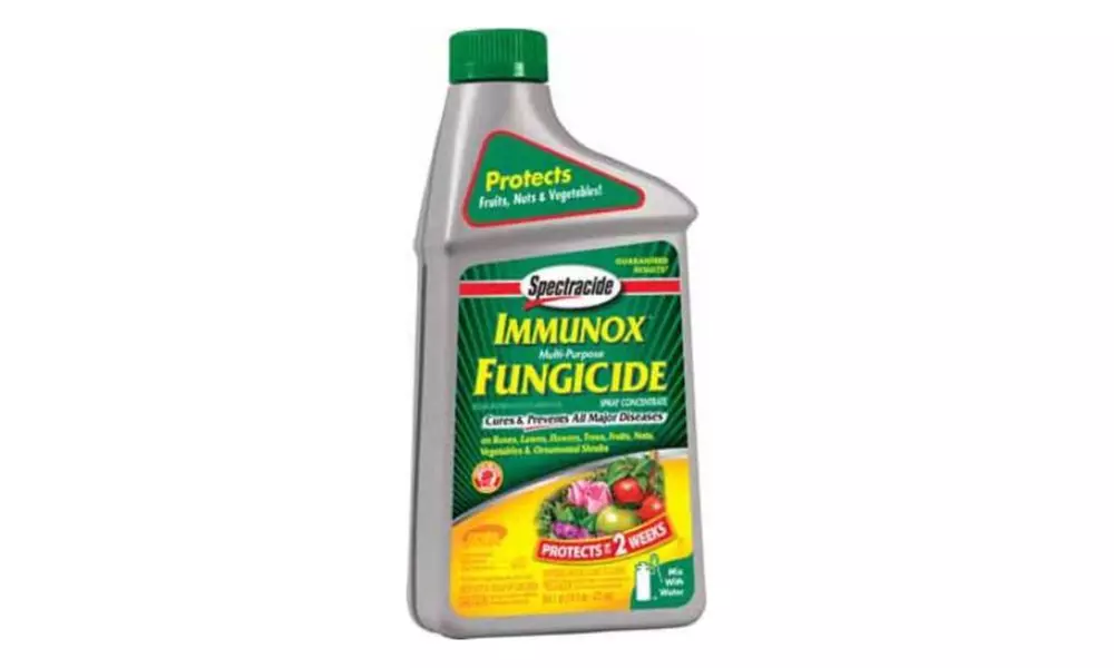 Spectracide 51000 Immunox-multi Purpose Fungicide Concentrate, 16 Oz. - Second Medium