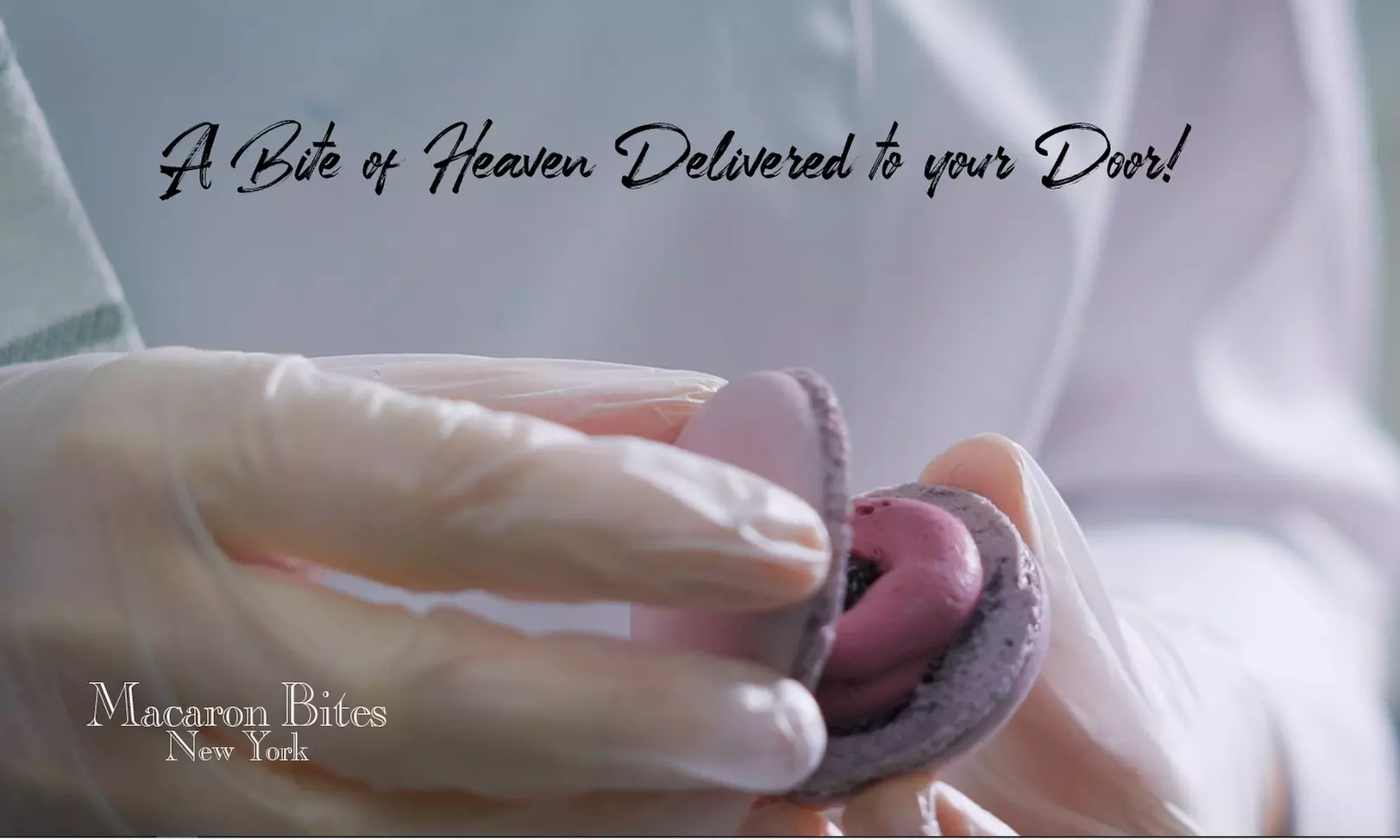 French Macarons - Macaron Bites Blueberry Macarons, 24 Count - Second Medium