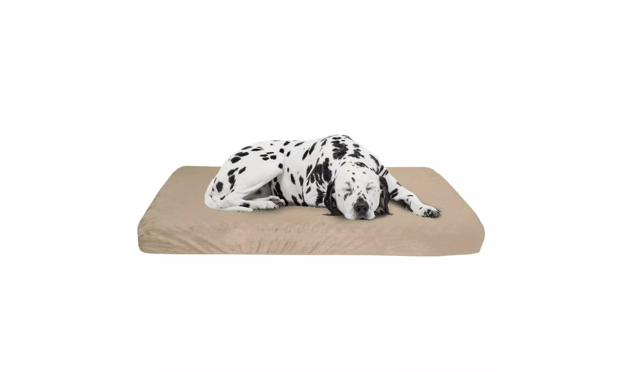 Extra Large Jumbo Orthopedic Memory Foam Dog Bed With Removable Cover 46 x 27 - Primary Image