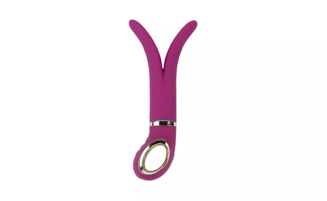 Gvibe 2 - Primary Image