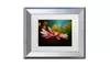 Lois Bryan 'The Secret World of Coneflowers' Matted Silver Framed Art