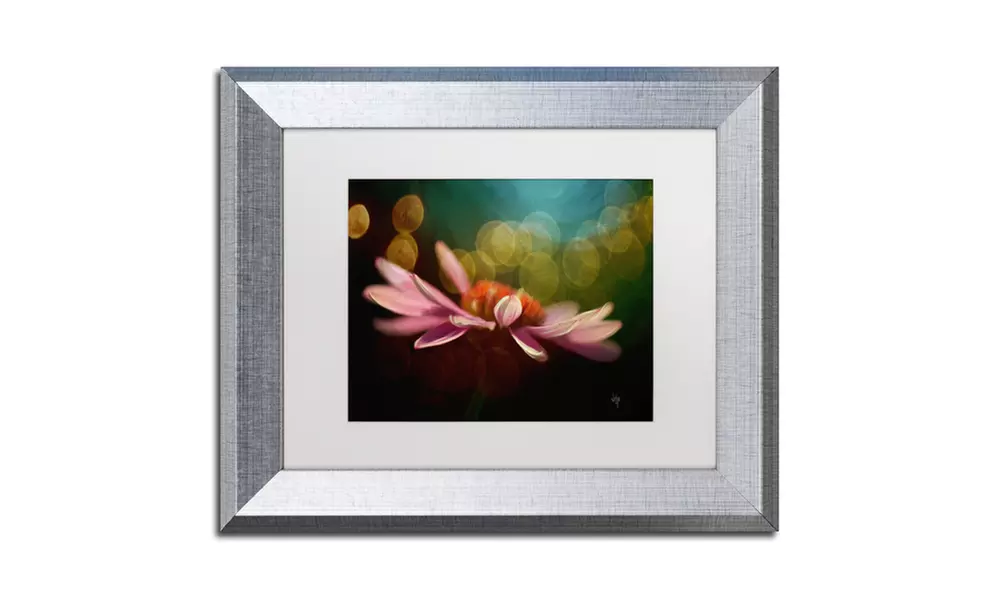 Lois Bryan 'The Secret World of Coneflowers' Matted Silver Framed Art - Primary Image