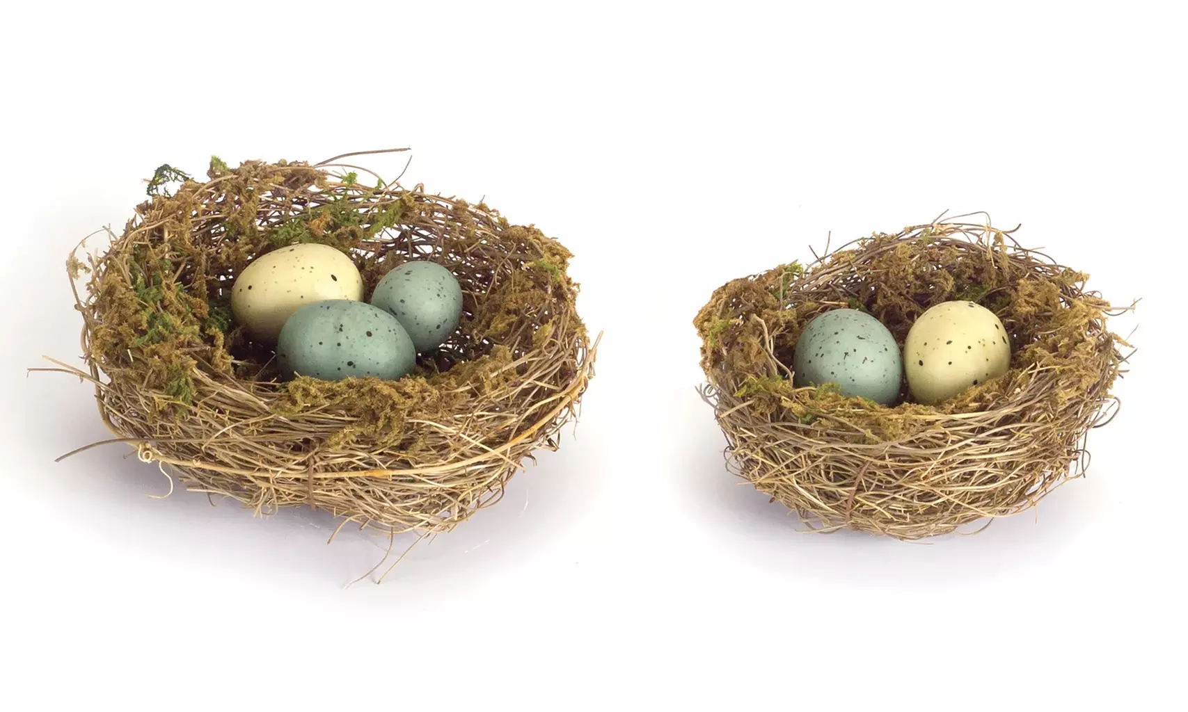Nest with Eggs (Set of 12) 4"D, 5.5"D Angel Vine - Primary Image