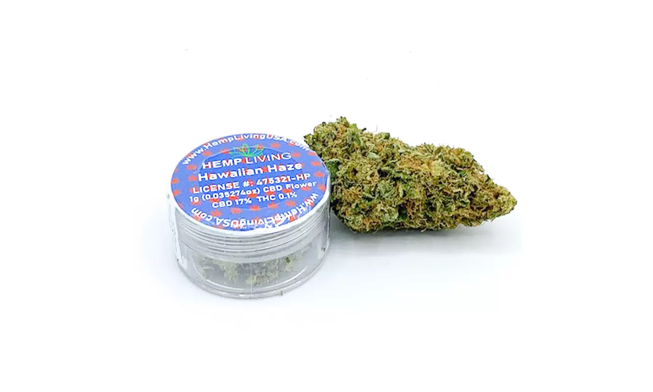 Hemp Living CBD Buds - Hawaiian Haze 17% CBD - Primary Image