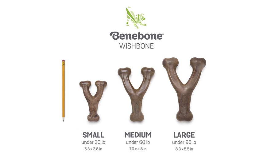 benebone coupon