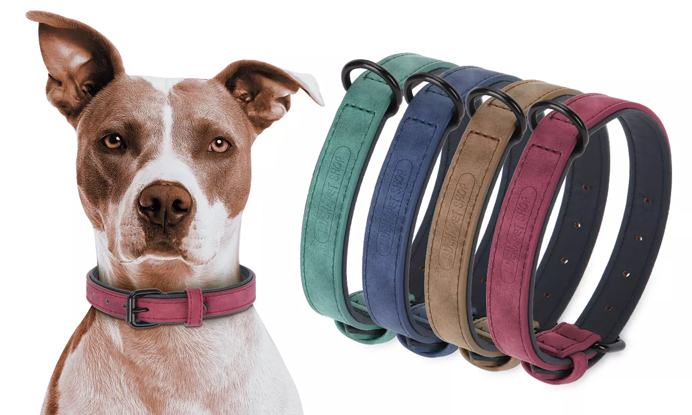 Genuine Leather Soft Padded Pet Safety Collar Durable Adjustable Dog Cat Collar - Primary Image