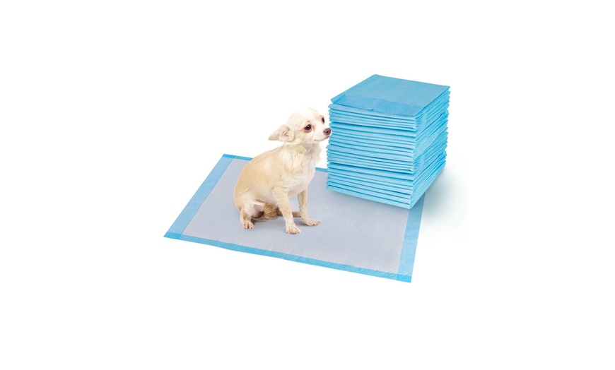 300 PCS 17'' x 24'' Puppy Pet Pads Dog Cat Wee Pee Piddle Pad training ...