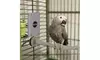K&H Pet Products Snuggle Up Bird Warmer