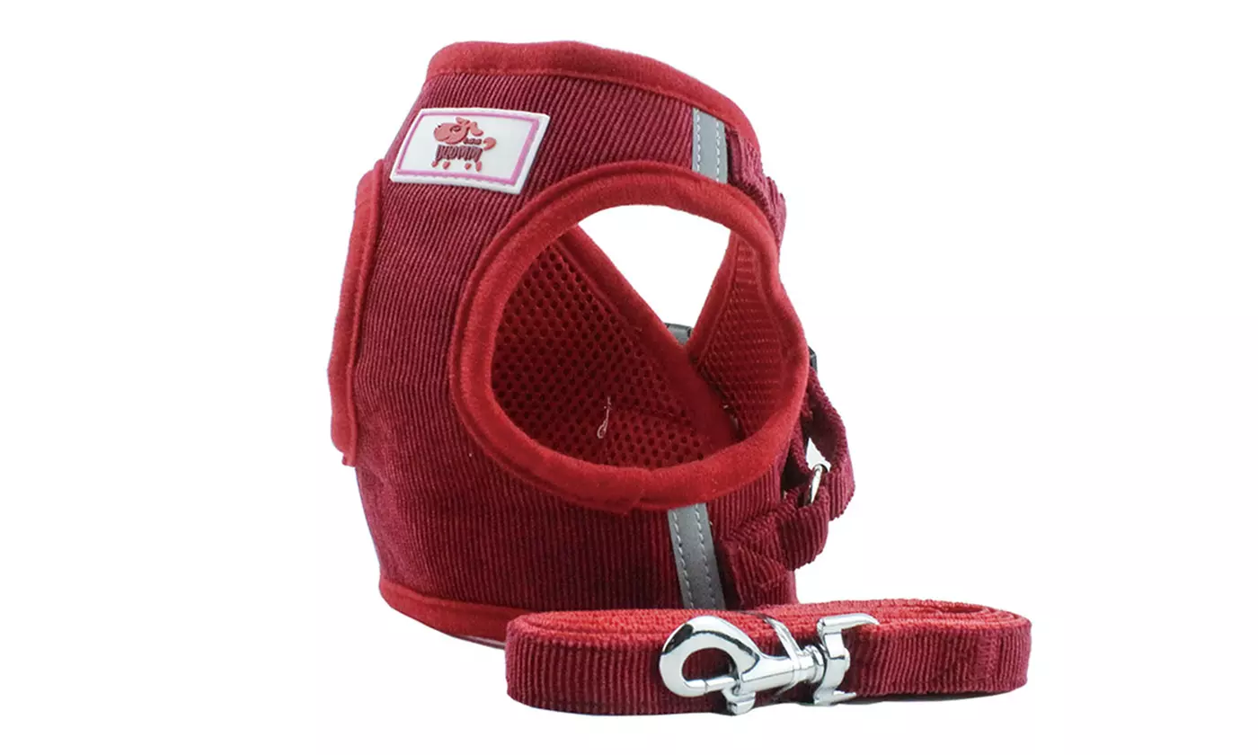 Windproof Reflective Dog Harness with Leash Set for Pet Walking