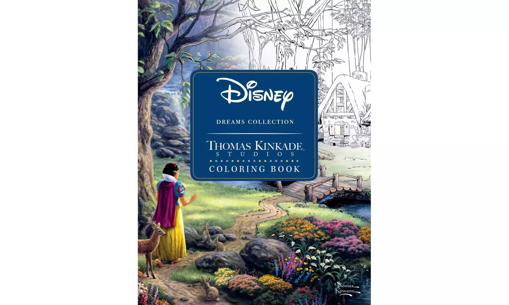 The Disney Dreams Collection: Coloring Book - Second Medium