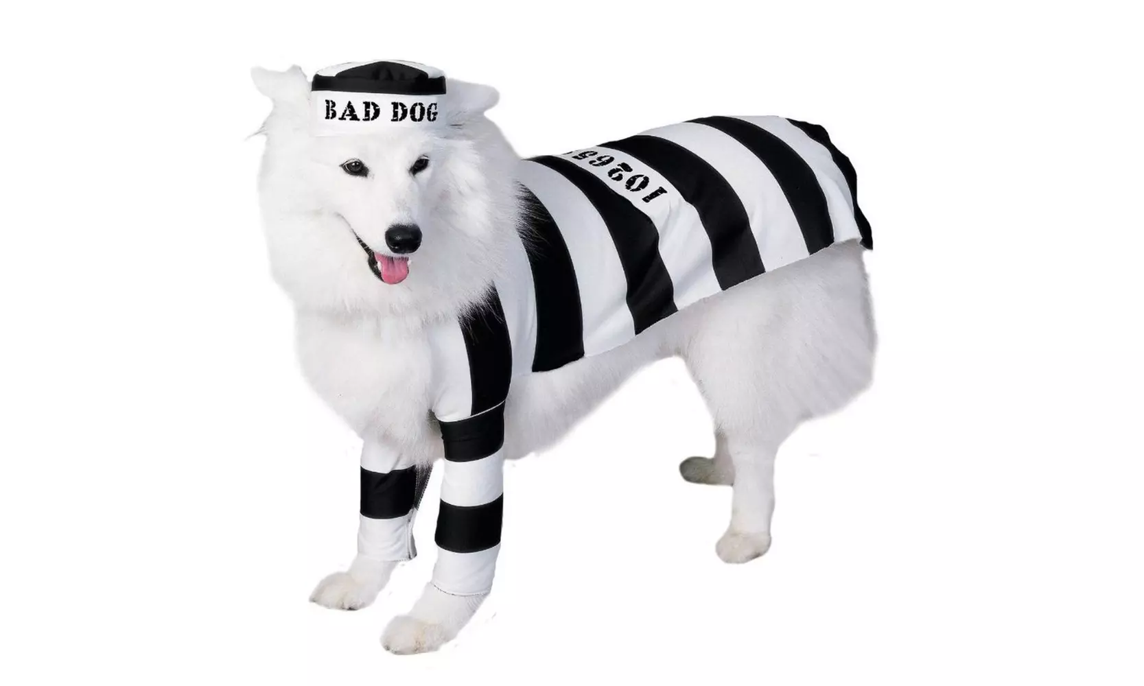 Rubies Costume Co 6897 Prisoner Dog Pet Costume Size Small - Second Medium