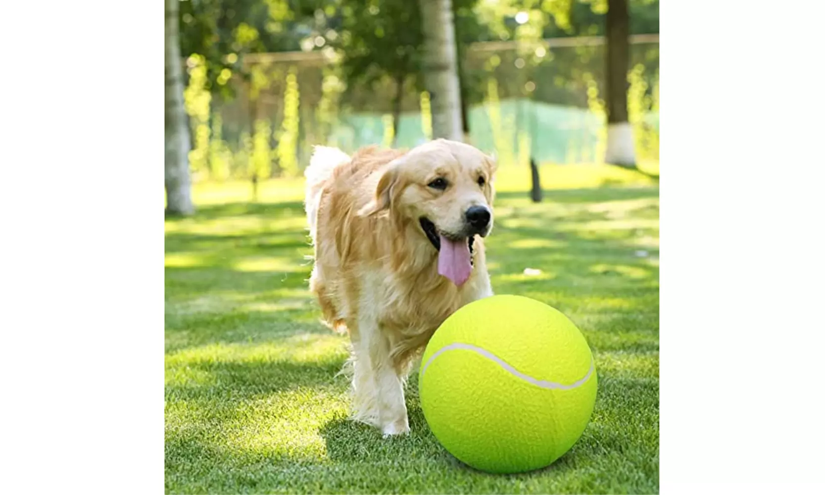Jumbo Tennis Ball - Primary Image