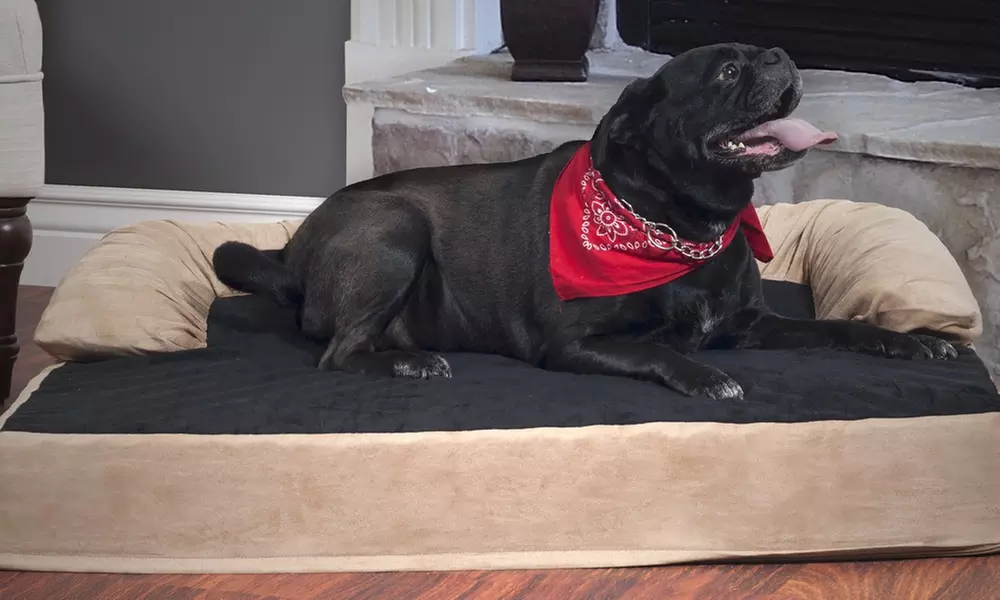 PETMAKER Orthopedic Memory Foam Pet Bed - Primary Image