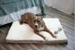 Orthopedic Dog Bed Pet Lounger Deluxe Cushion for Crate Foam Soft - Large - Image 3