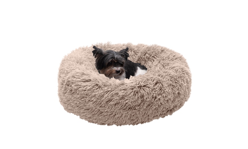 bunty dog bed groupon