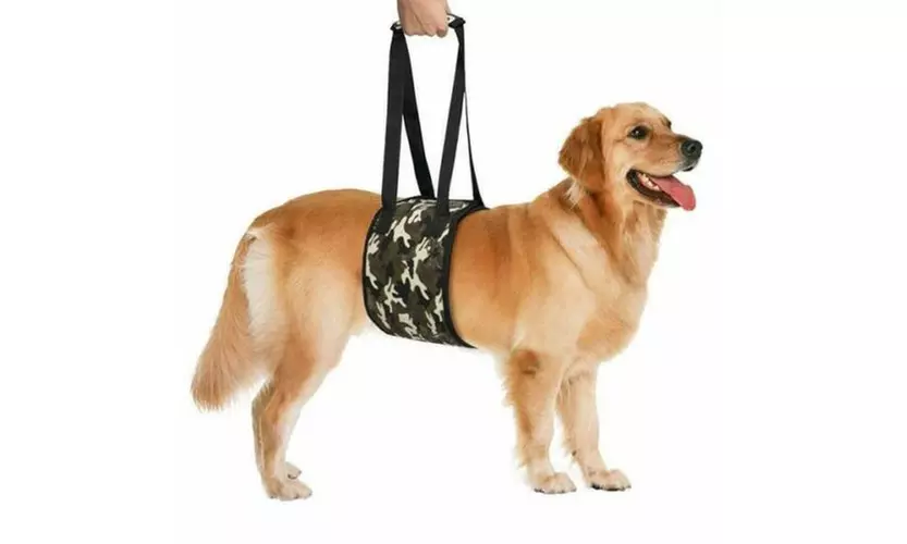 Dog Full Body Lift Harness Full Body Support and Recovery Sling - Second Medium